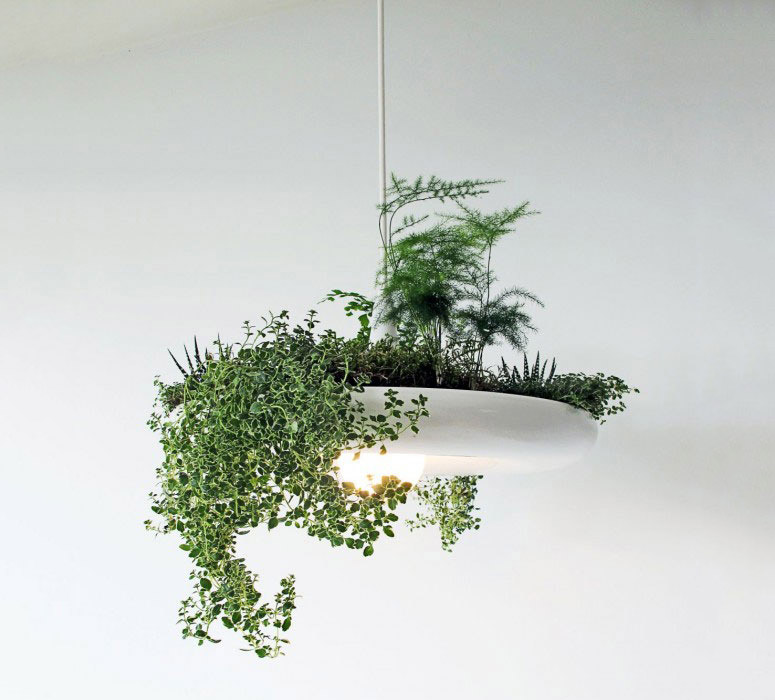 Babylon Light - Hanging Garden Light Fixture
