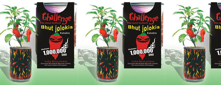Bhut Jolokia Ghost Chili - The Hottest Chili Pepper in the World!