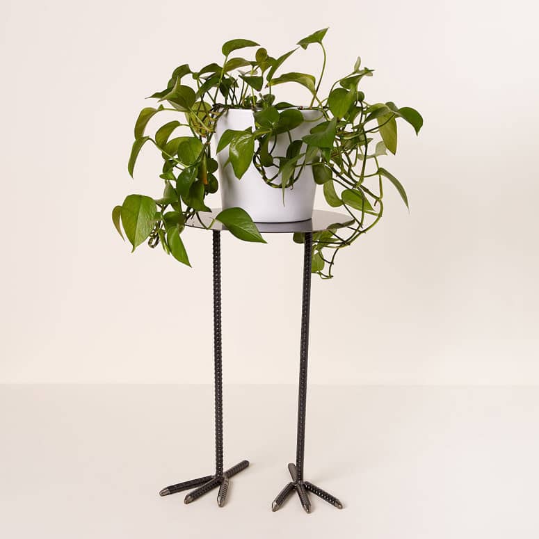 Bird Legs Plant Stand