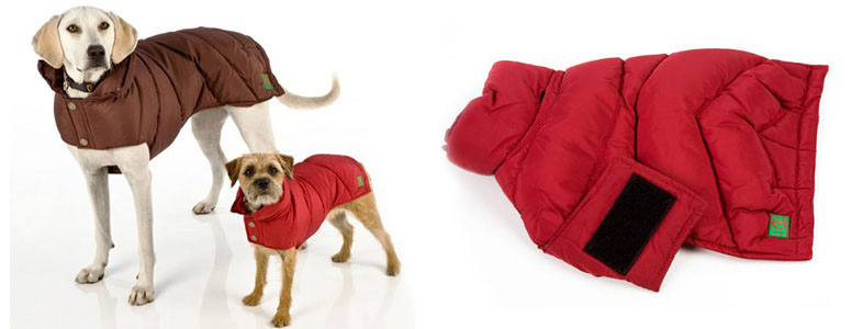 Canine Styles - Puffer Dog Coat