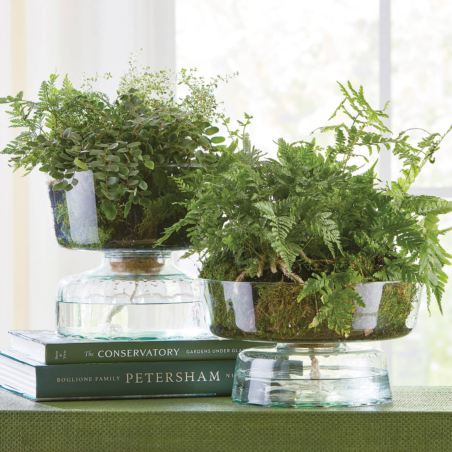 Canopy Self-Watering Glass Planter