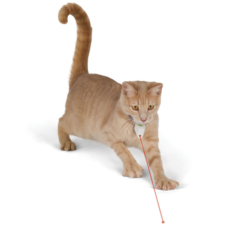Cat Collar Laser Toy