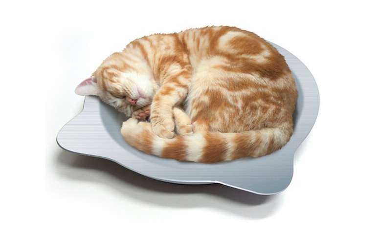 Cat Cooling Tray