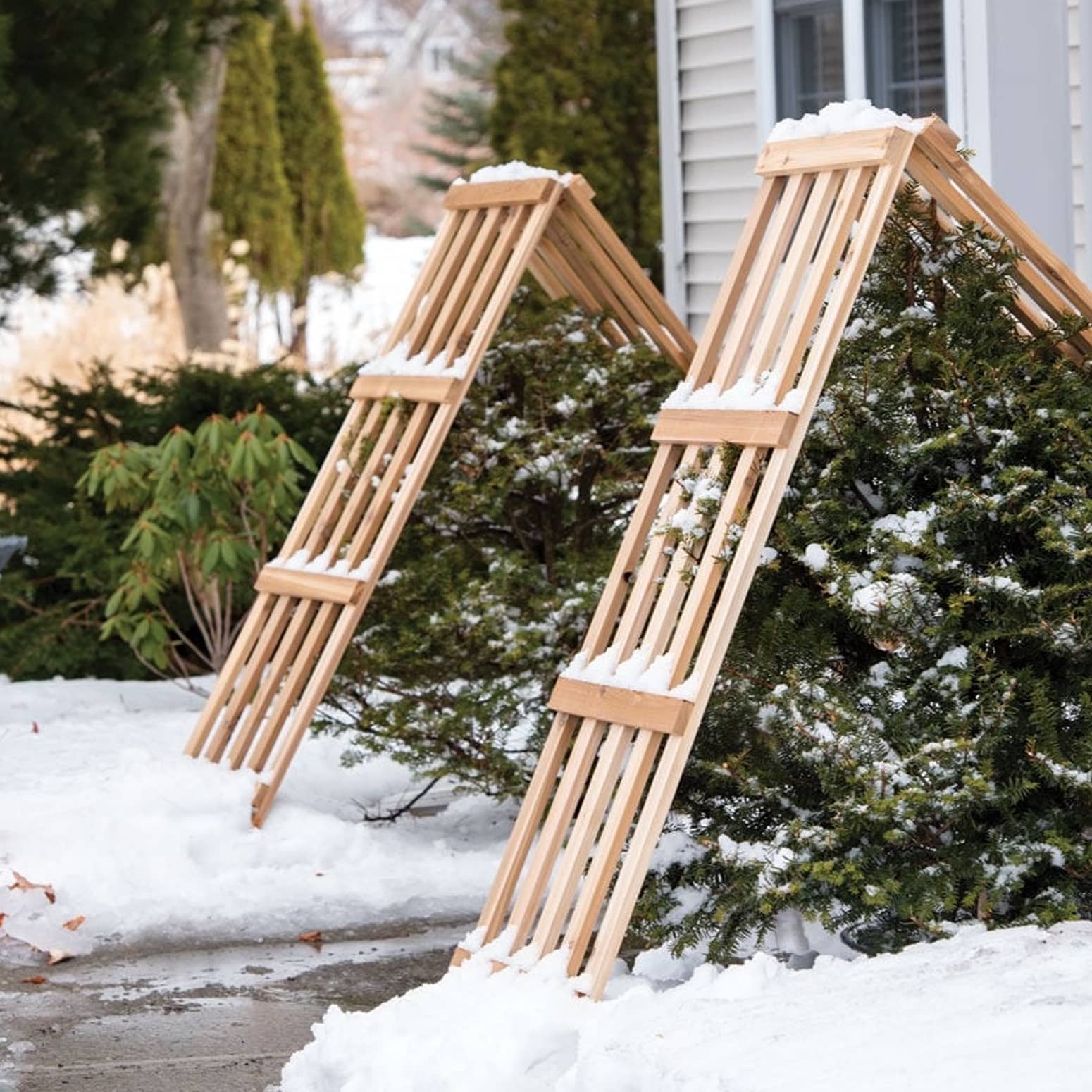 Cedar Shrub Guards - Protect Bushes From Falling Snow and Ice