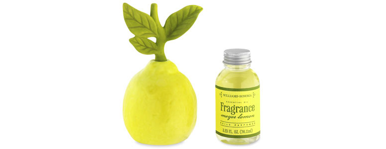 Ceramic Lemon Fragrance Diffuser