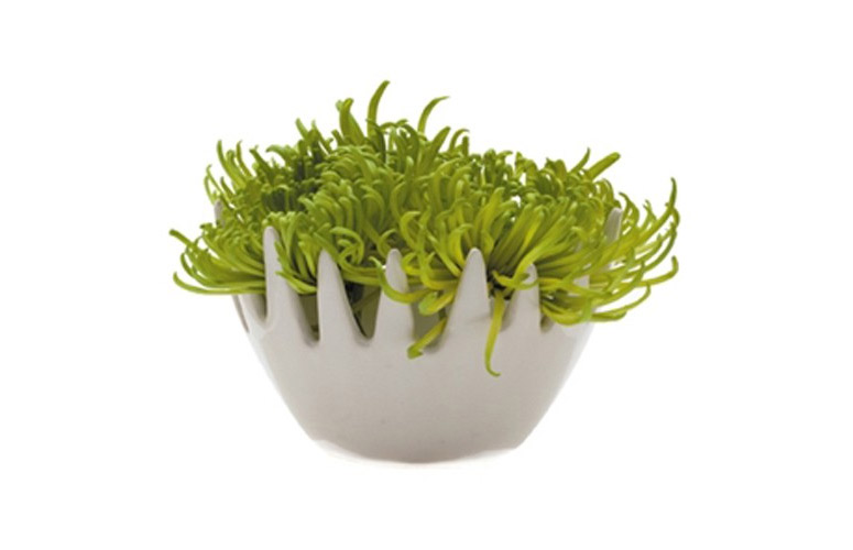 Chive Gideon Fuzzy Vase - Ceramic Air Plant and Bud Vase