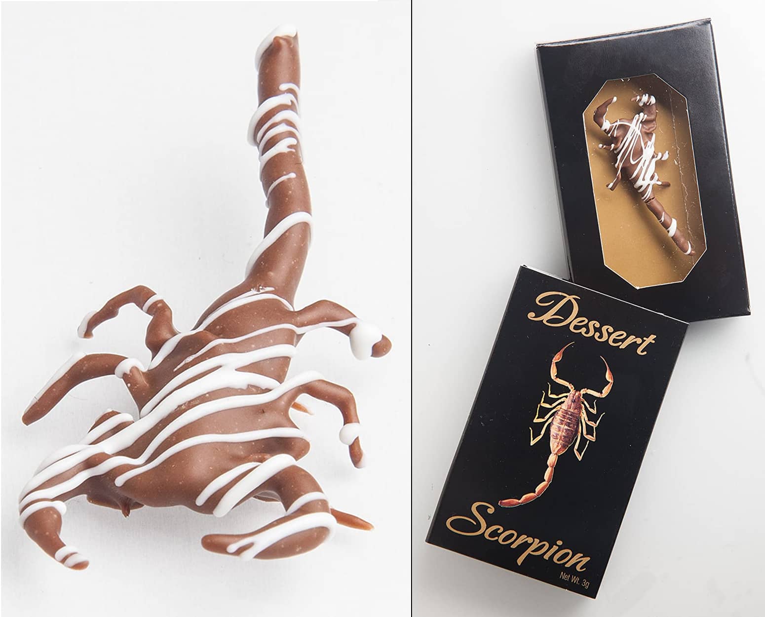 Chocolate-Covered Scorpion