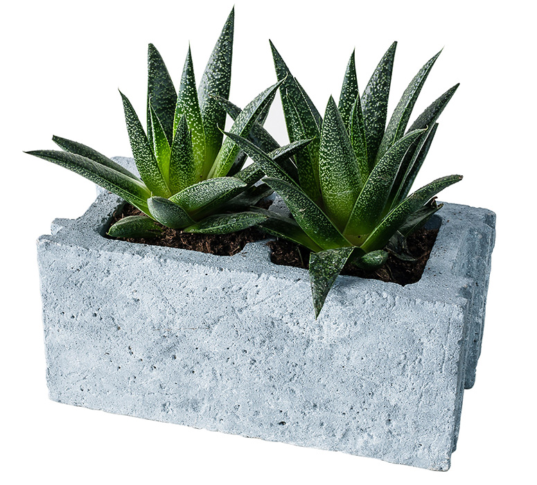 Cinder Block Cement Planter