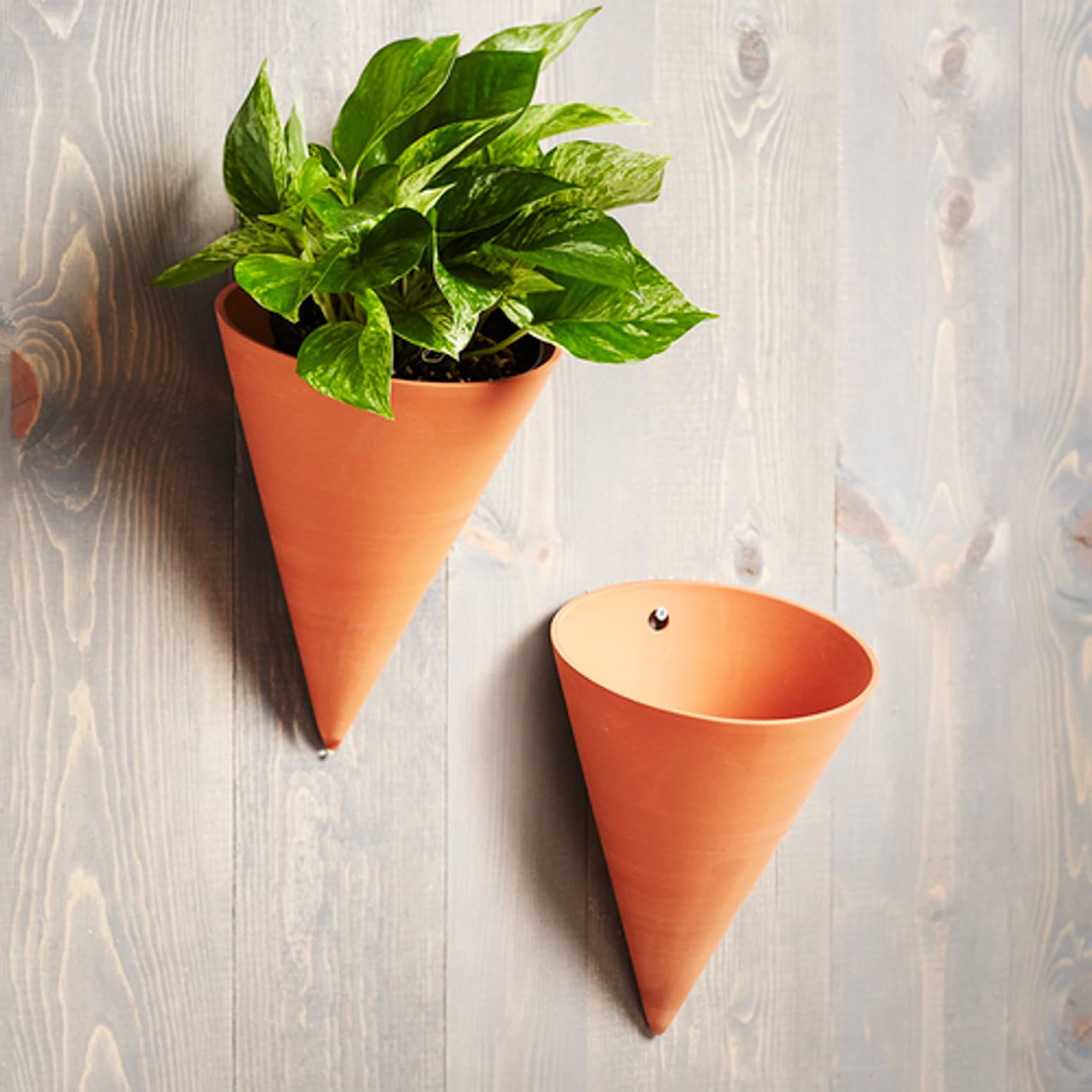 Cone-Shaped Terracotta Wall Pots
