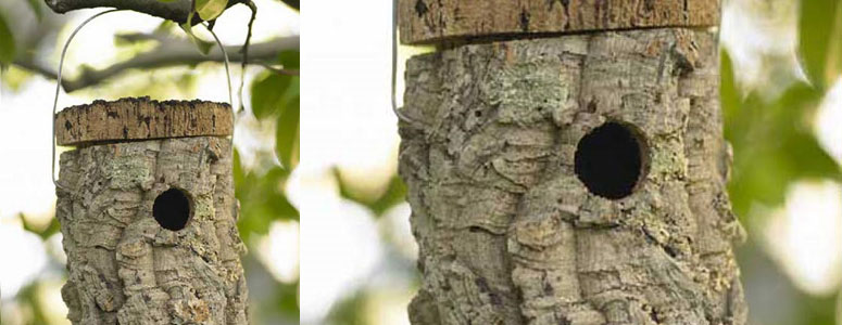 Cork Birdhouse