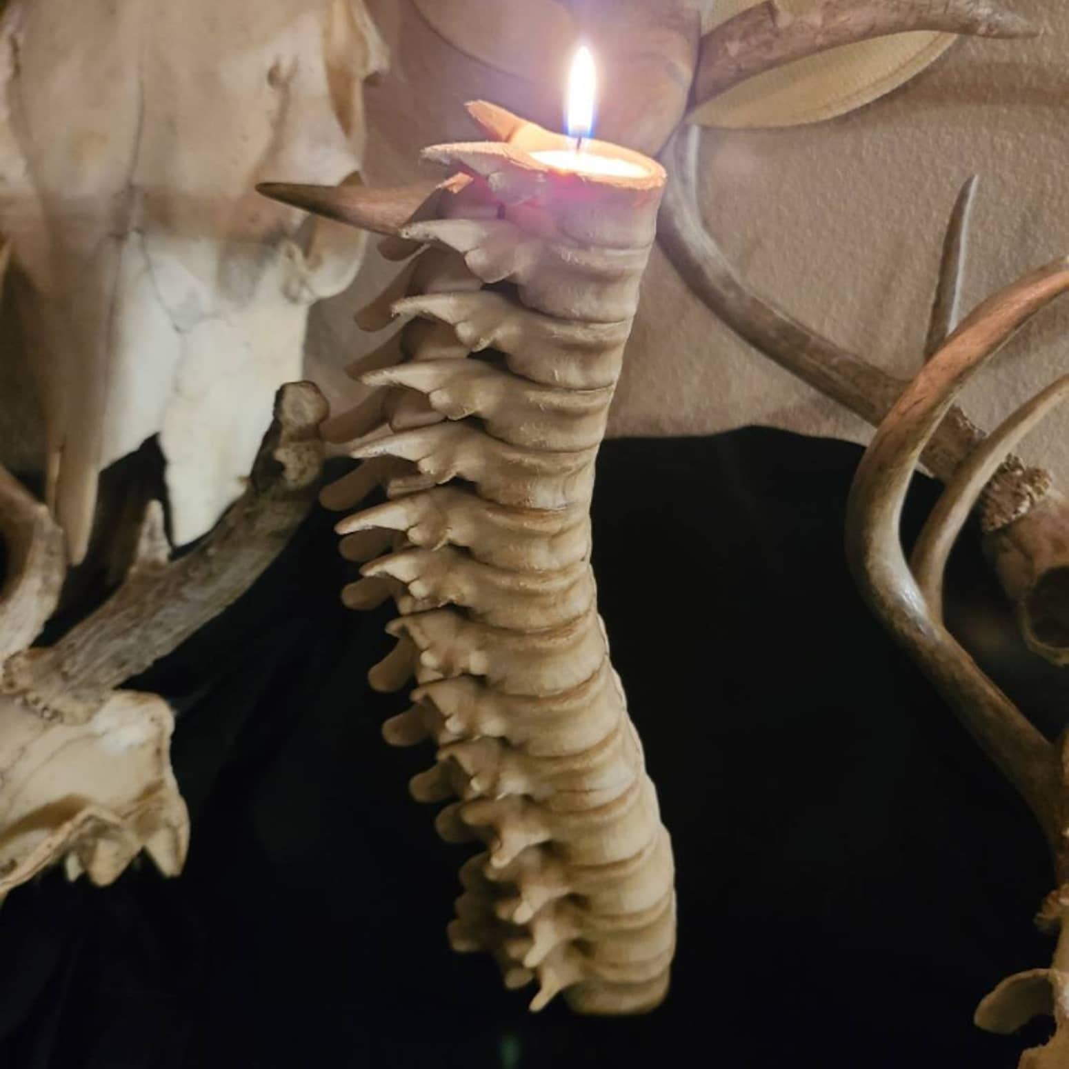 Creepy Spinal Column Candleholder