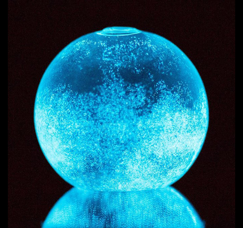 Dino Sphere - Bioluminescent Plankton Mini Aquarium
