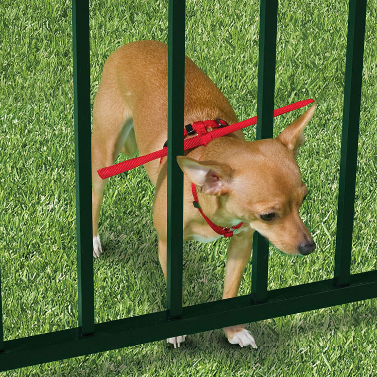 Dog-Gamutt - Escape Preventing Dog Harness