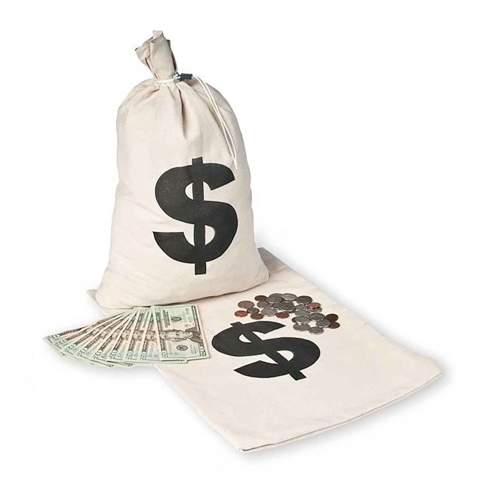 Dollar Sign Money Bags