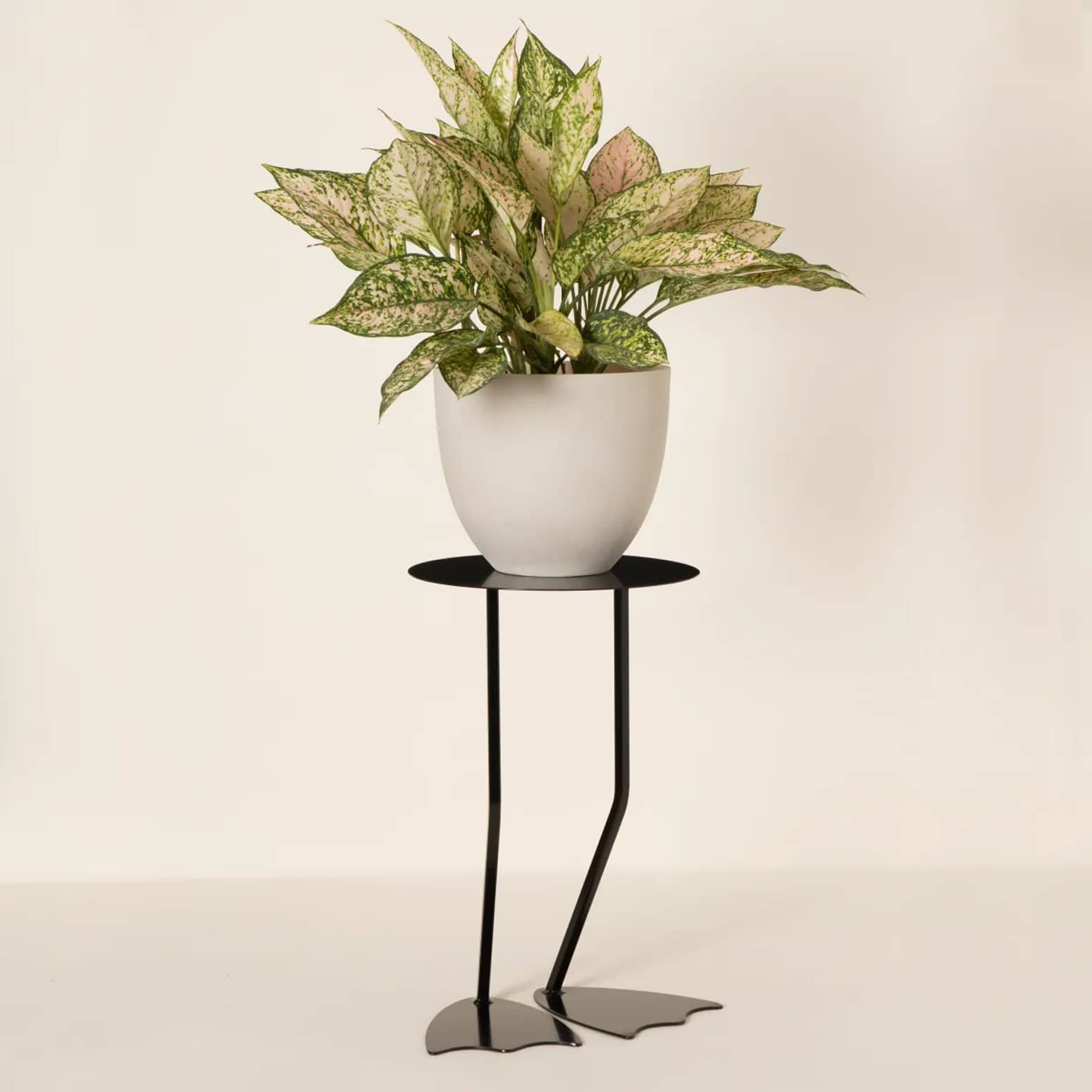 Duck Legs Plant Stand / Side Table