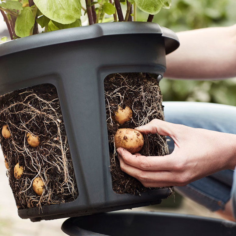 Easy Access Potato Pot Planter
