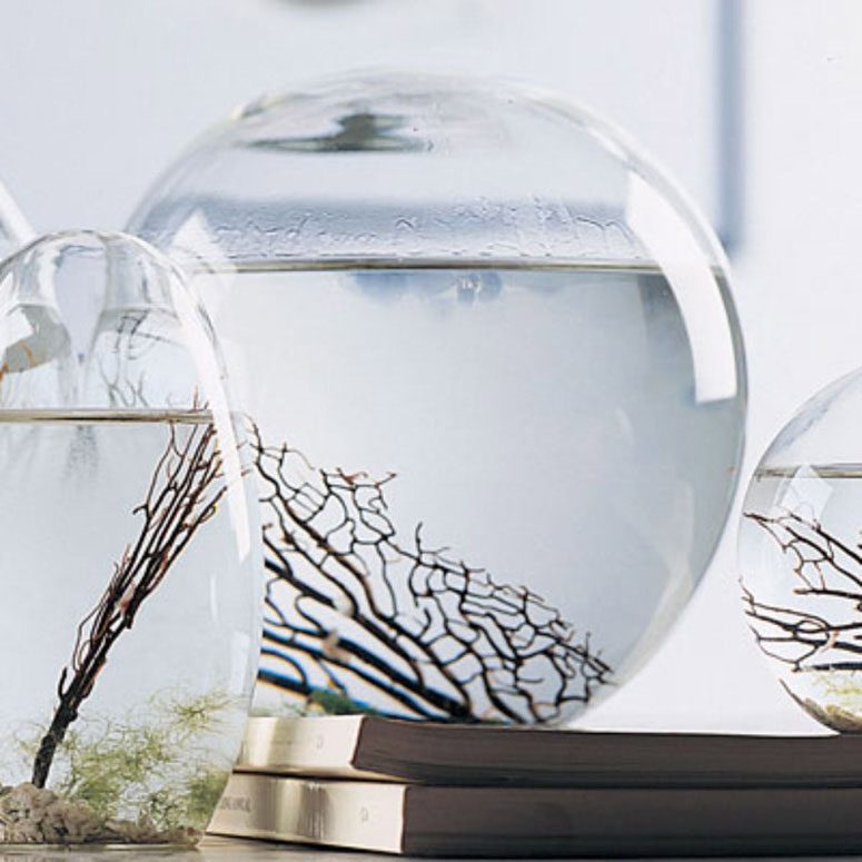 Ecosphere,Eco-sphere