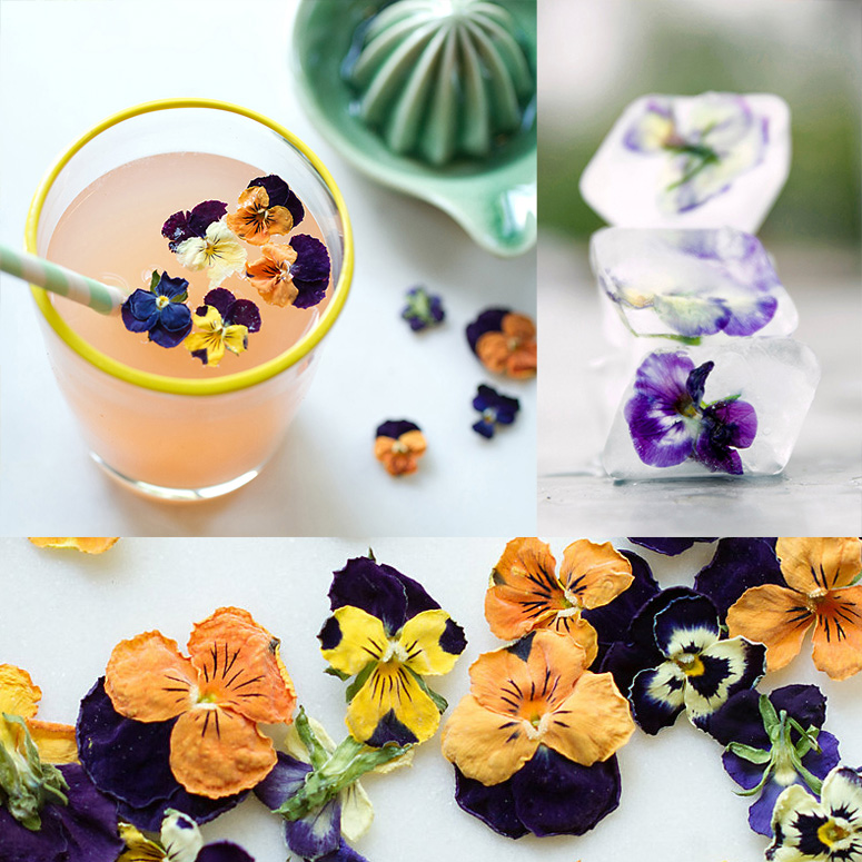 Dried Edible Flowers