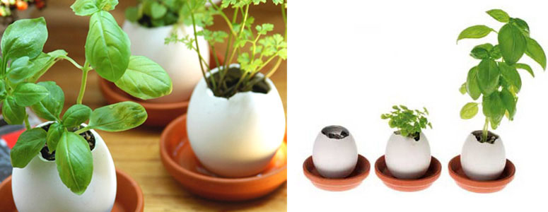 Egglings - Plants You Hatch From an Egg!