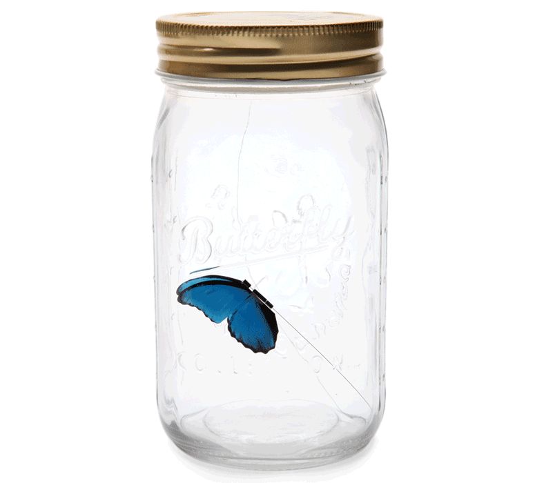 Electronic Butterfly in a Jar | The Green Head