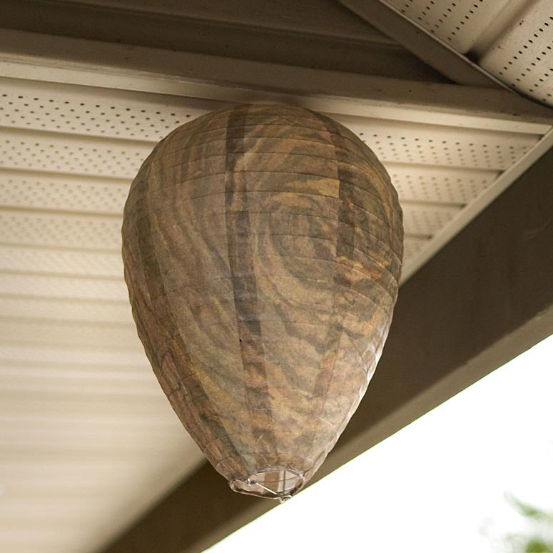 Faux Wasp Nest - All-Natural Wasp Deterrent