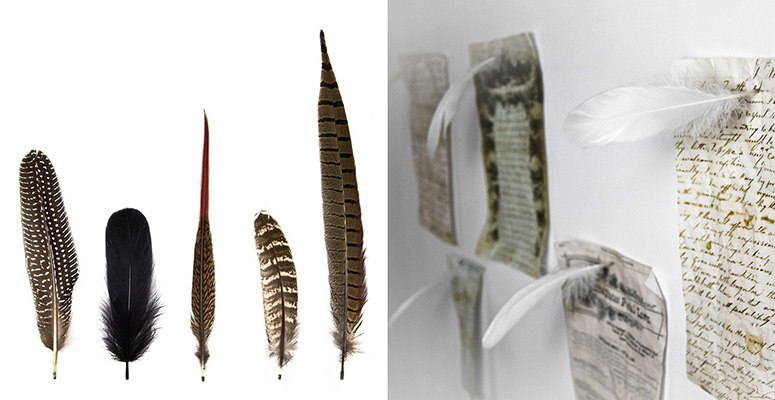 Feather Magnets