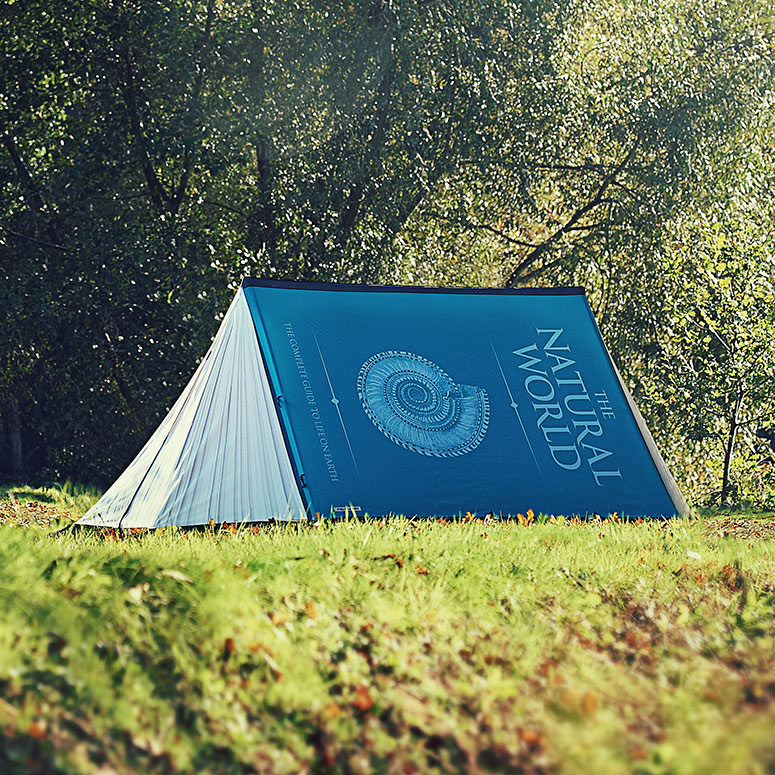 FieldCandy - Creative Designer Tents