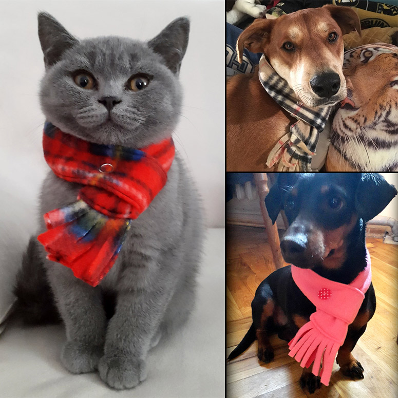 Fleece Cat Scarves