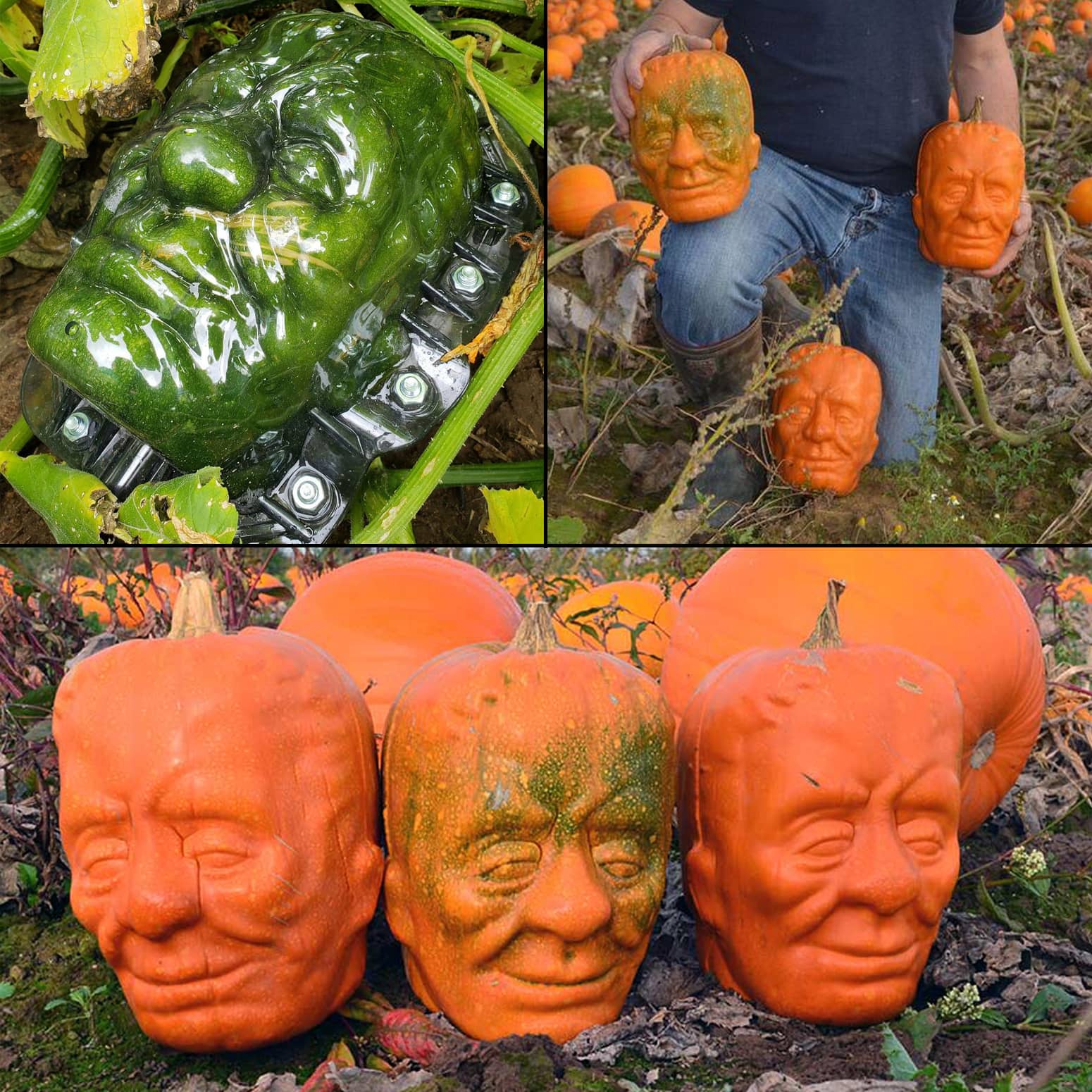 Frankenstein Pumpkin Shaping Mold