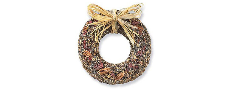 Fruitcake Bird Wreath Feeder