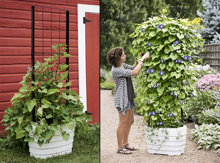 Gardener's Revolution Self-Watering Vine Planter