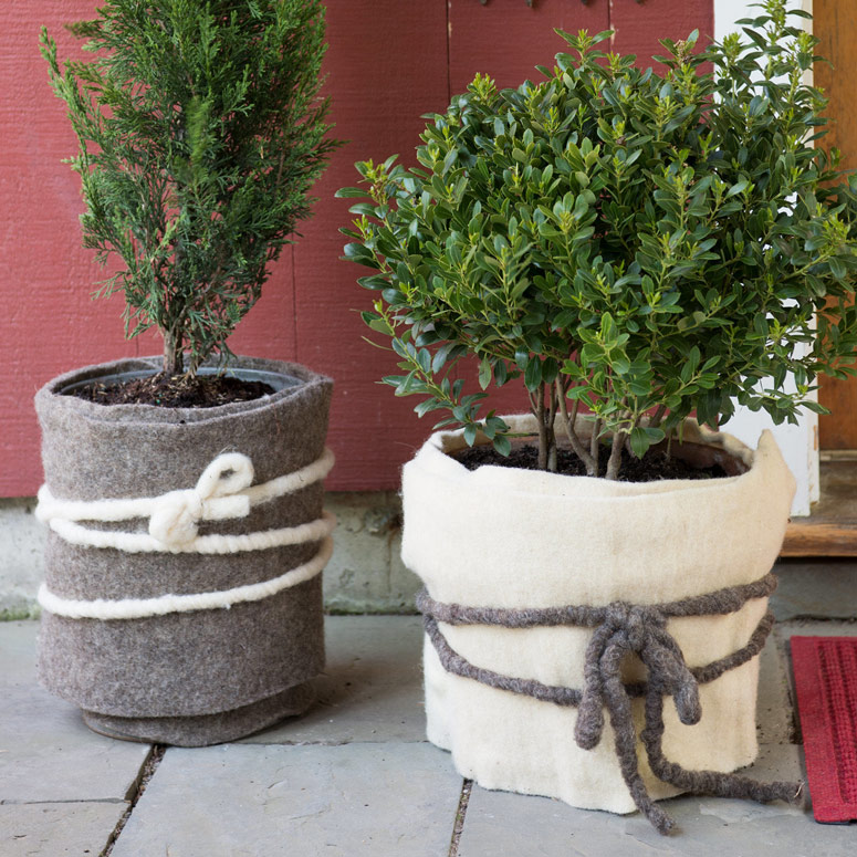 GardenWool - Stylish Winter Plant Blankets