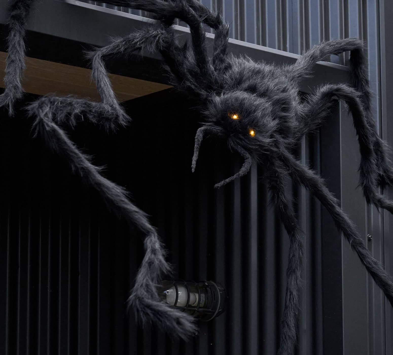 Gigantic 6 Foot Hairy Black Spider With Creepy Light-Up Eyes