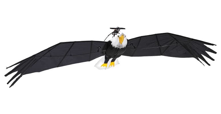 Gigantic Remote Controlled Bald Eagle