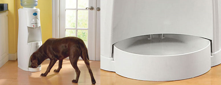 HduO - Water Dispenser for People and Pets