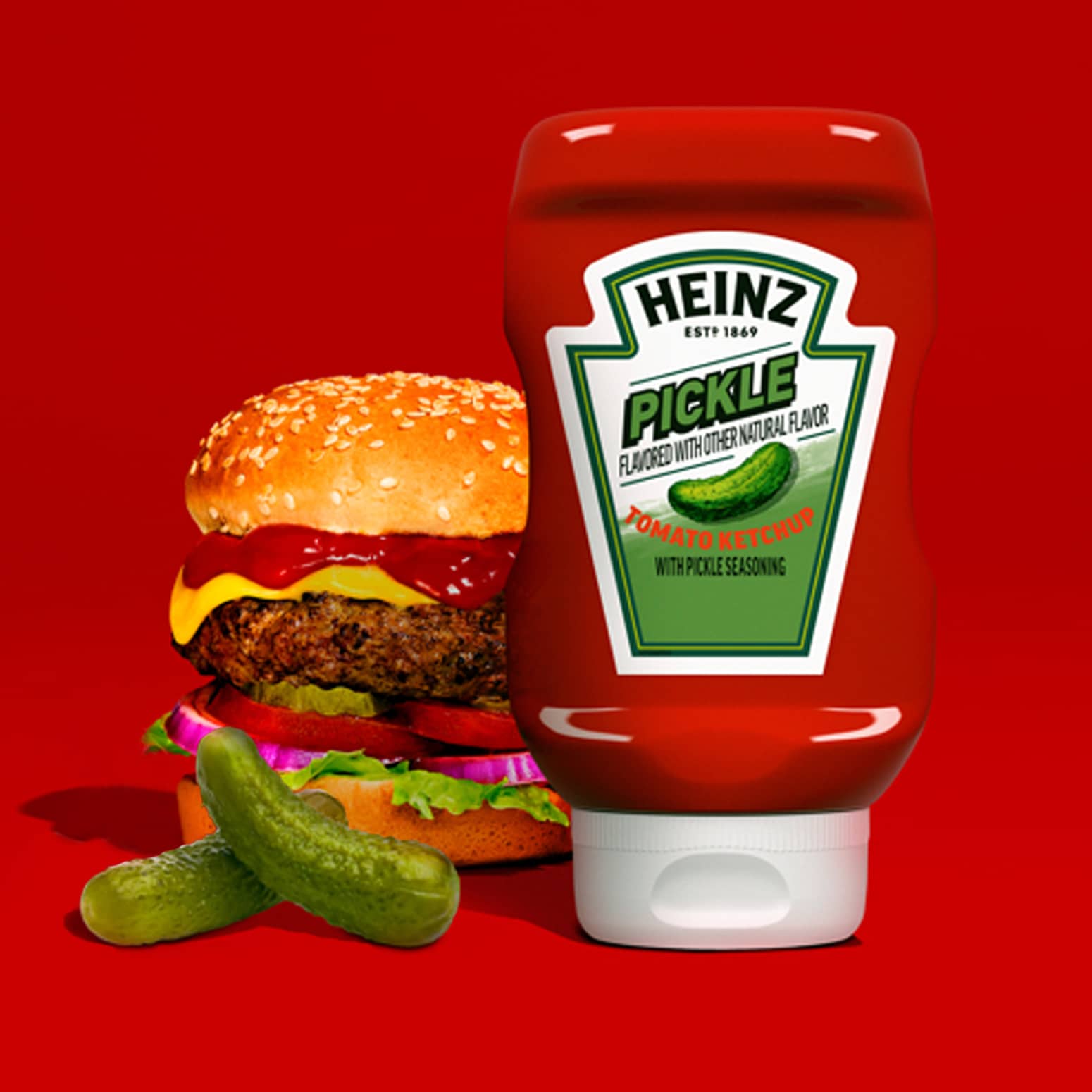 Heinz Pickle Ketchup