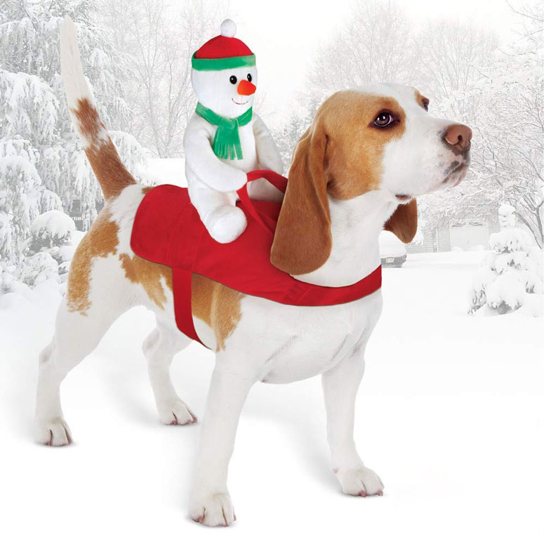 Holiday Snowman Dog Rider Costume