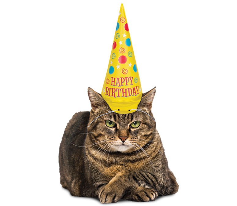 Inflatable Party Hat For Cats