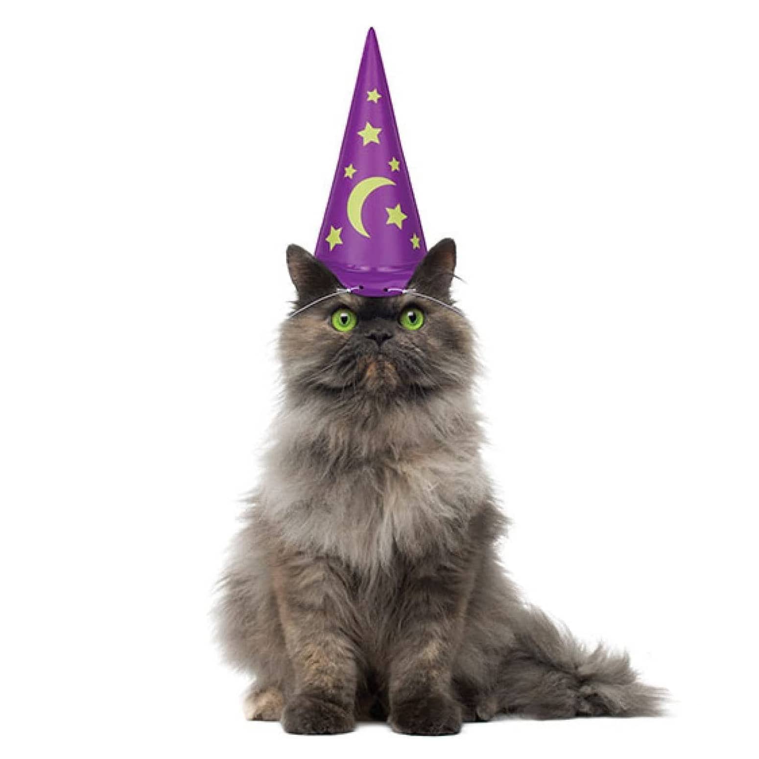 Archie McPhee Inflatable Party Hat for Cats 
