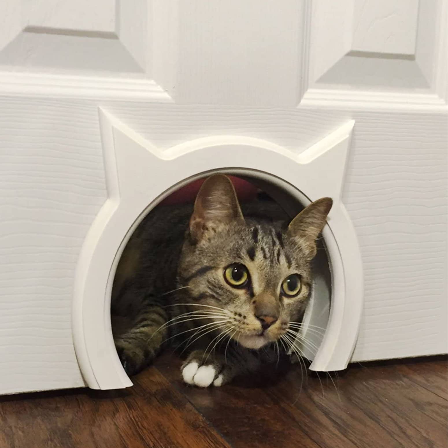 Lovely Kitty Pass Interior Cat Door Hidden Litter Box Pet Door 7.1x4.5x1.4 Inch 