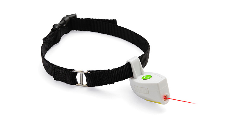 Laser Collar Pet Toy