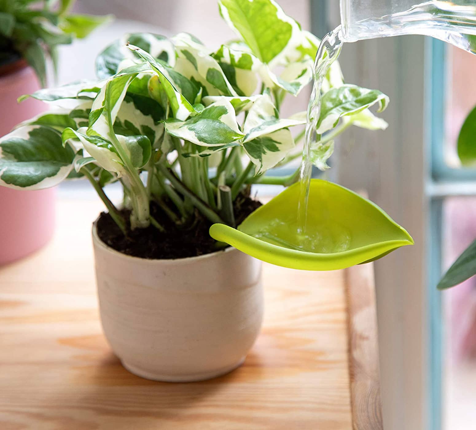 Leaflow - Leaf-Shaped Plant Watering Funnels