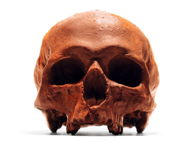 Lifesize Anatomically Correct 100% Chocolate Human Skulls