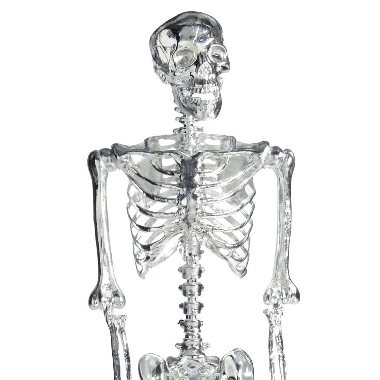 Lifesize Chrome Skeleton