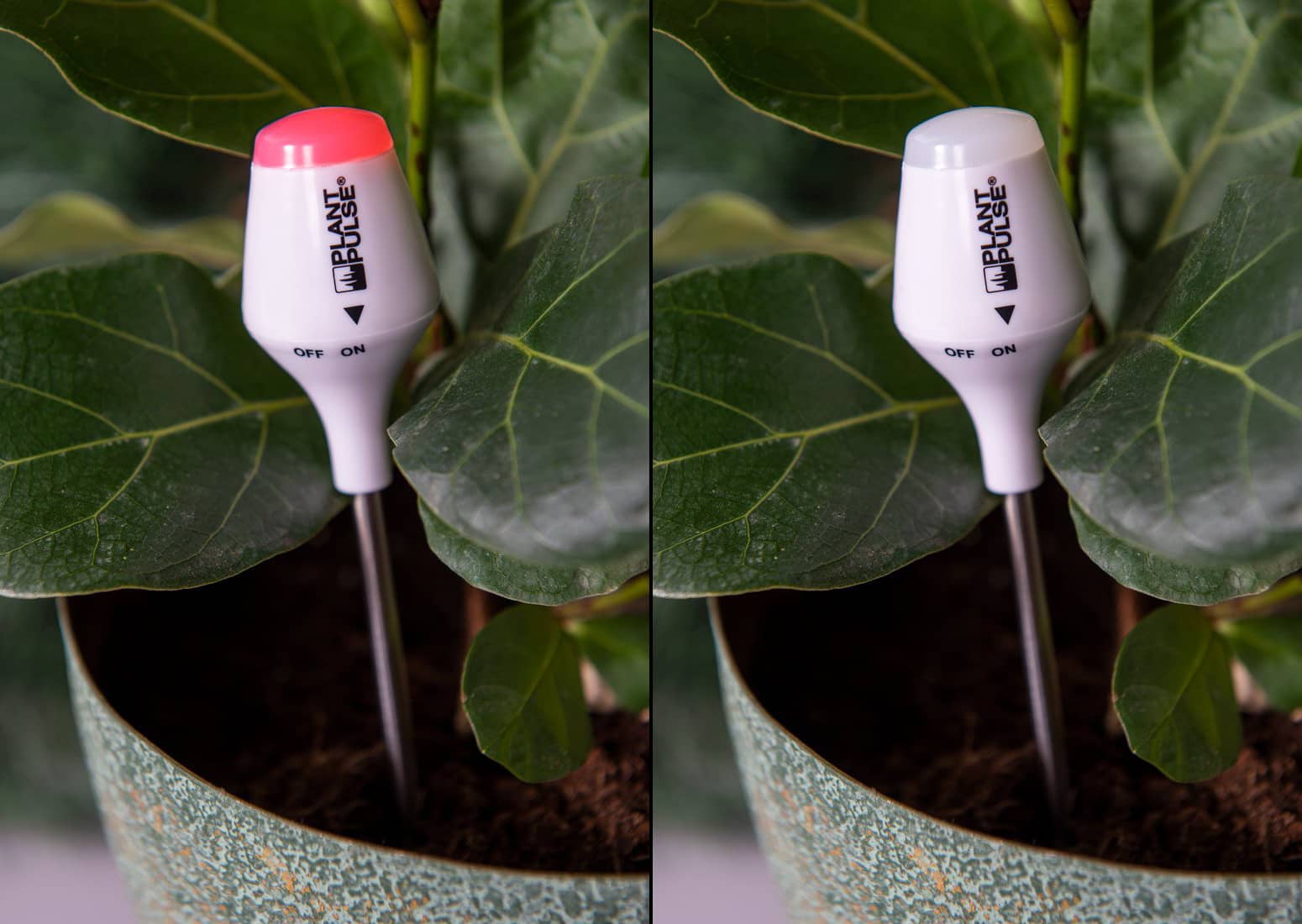 Light Up Plant Moisture Meter - Alerts When Plants are Thirsty