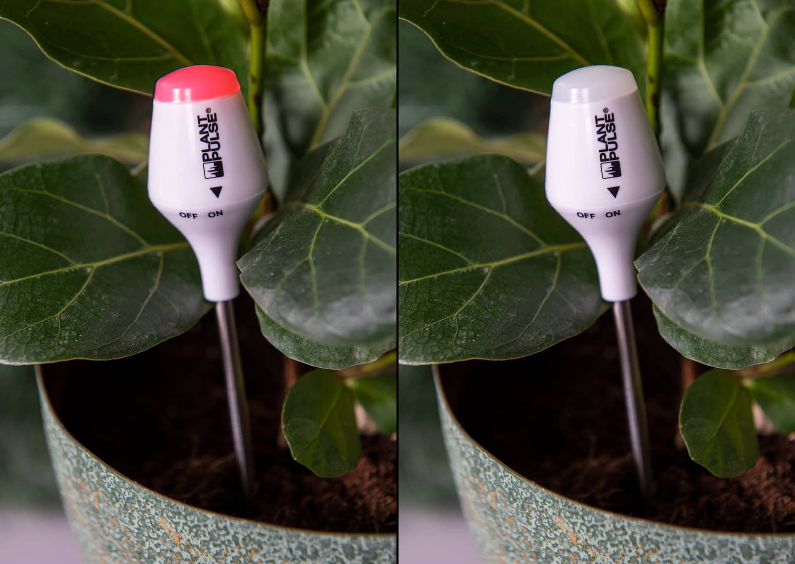 https://www.thegreenhead.com/imgs/xl/light-up-plant-moisture-meter-alerts-when-plants-are-thirsty-xl.jpg