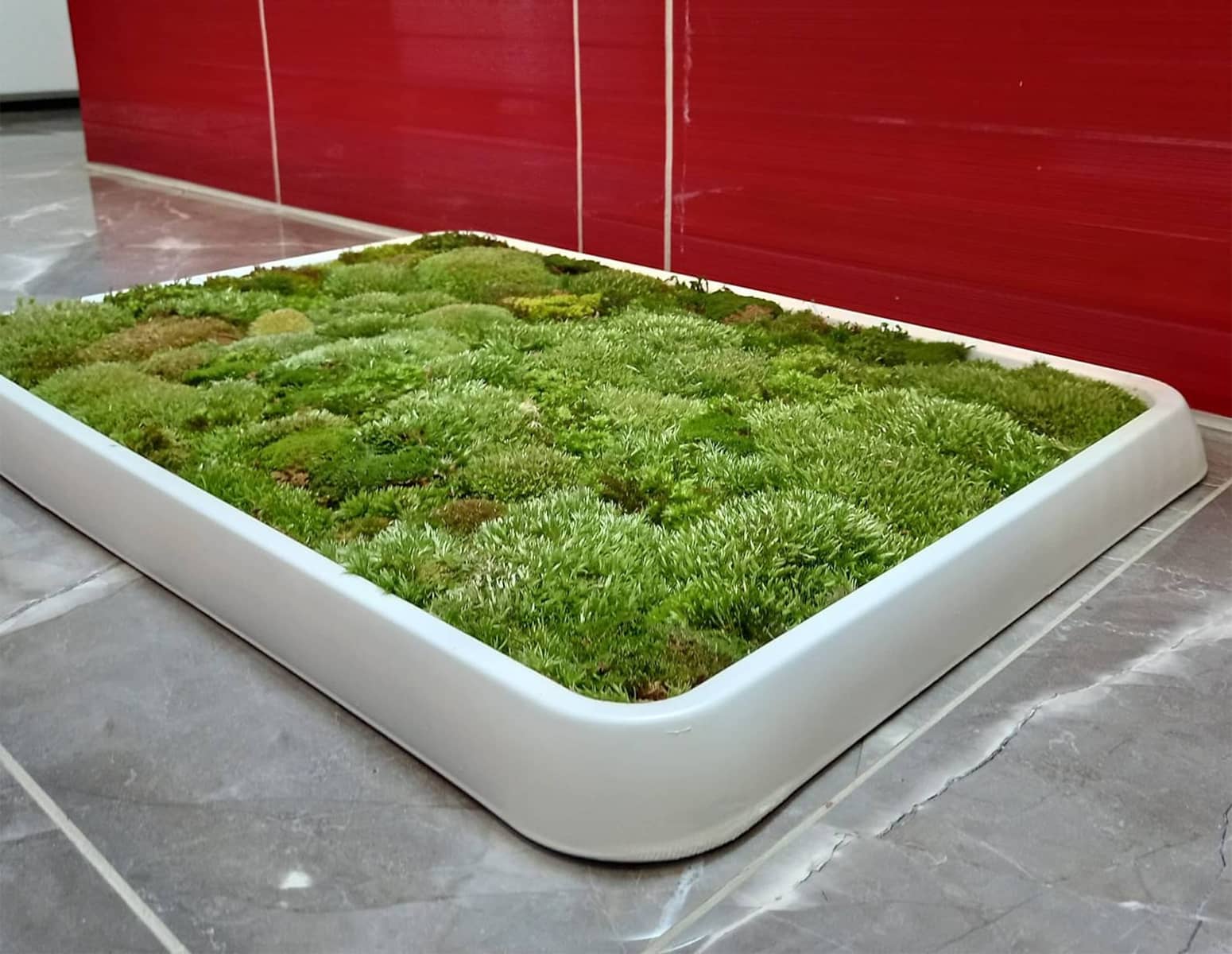 Live Green Moss Bath Mat