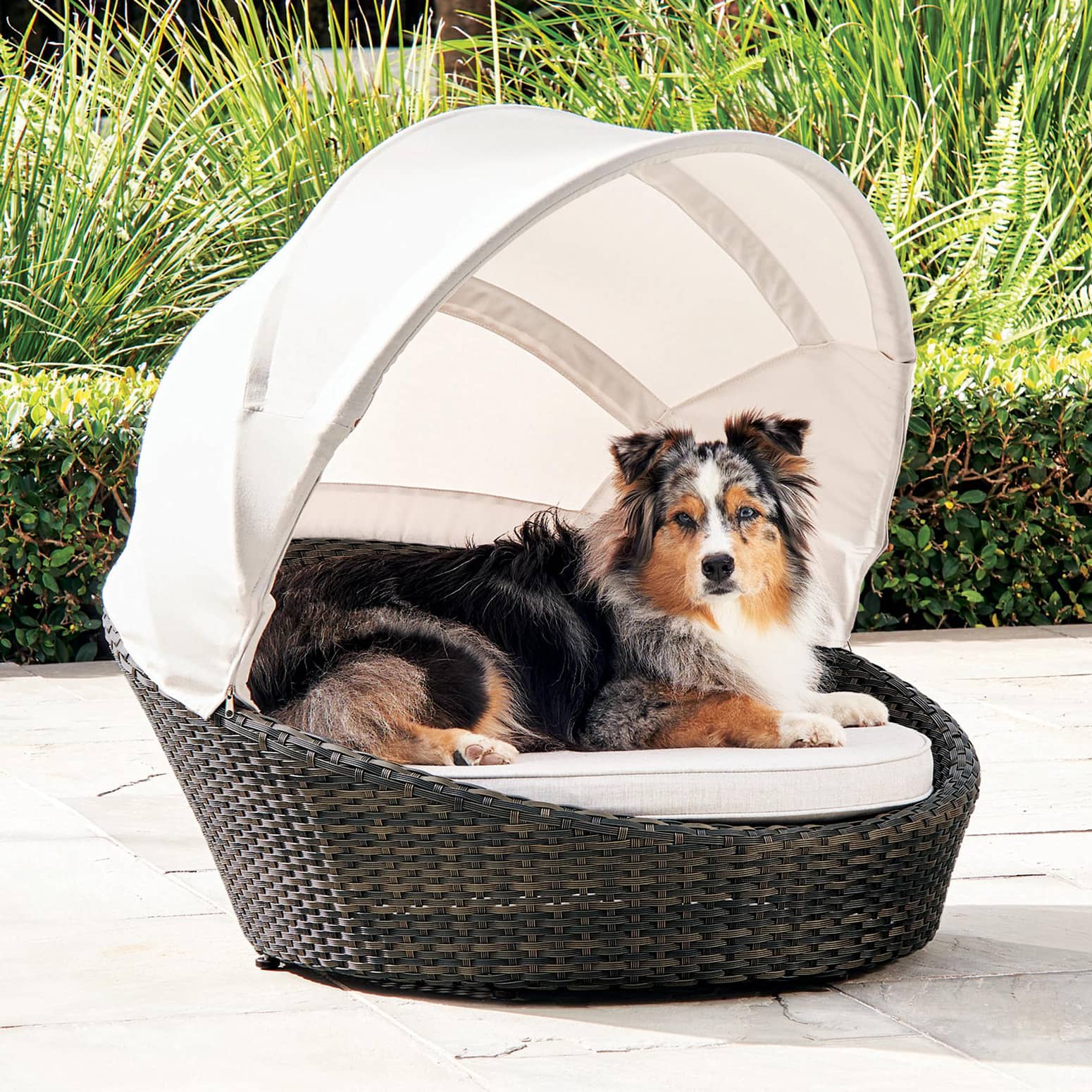 Luxurious Outdoor Dog Bed With Canopy, Outdoor Bed With Canopy For Dogs