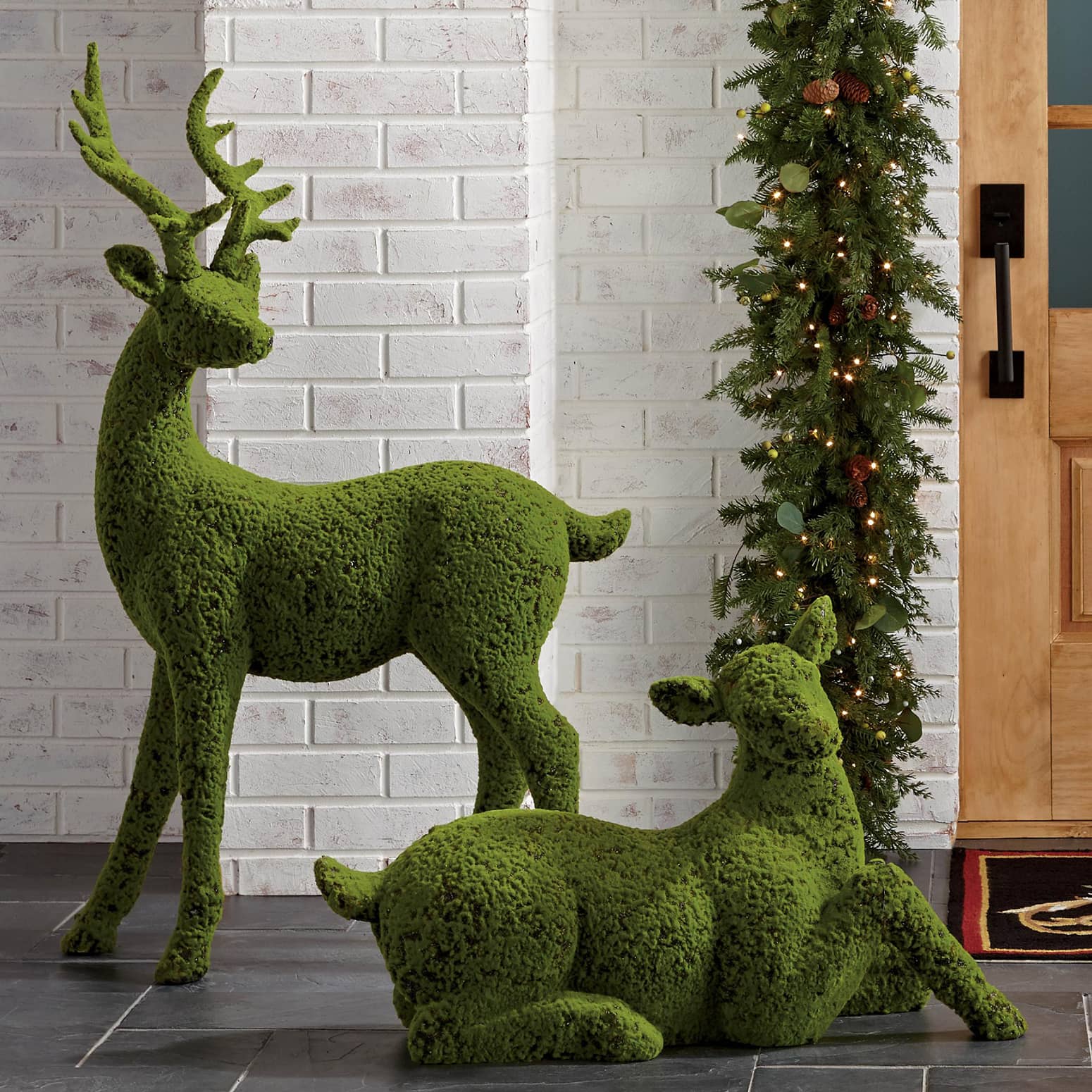 Majestic Preserved Moss Deer Statues
