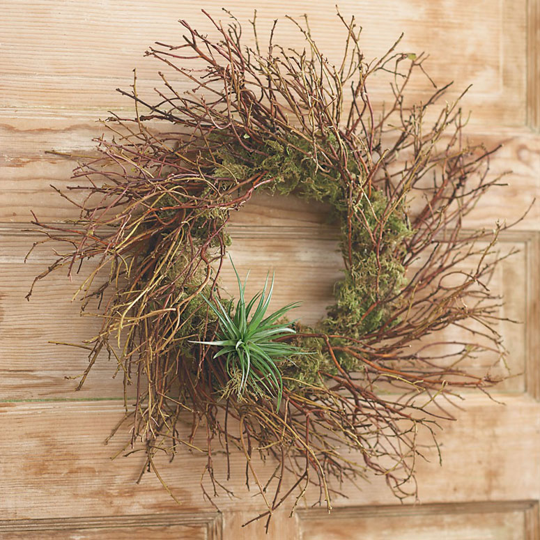 Manzanita Air Plant Wreath